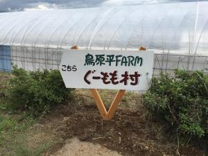 看板2